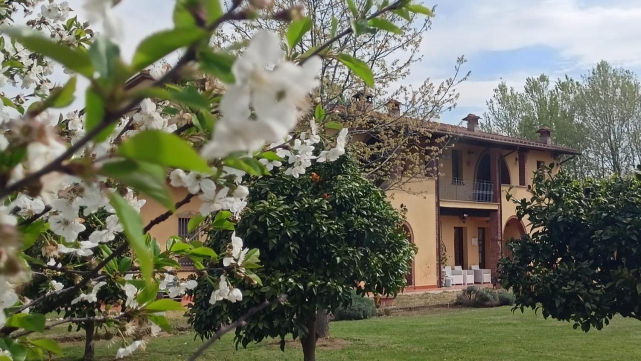 Il Chiassetto Agriturismo No Kids Cascina Dış mekan fotoğraf