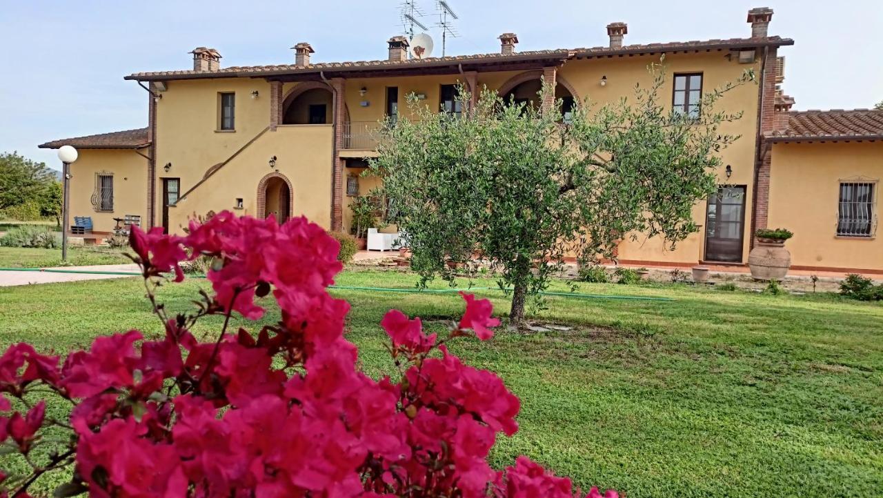 Il Chiassetto Agriturismo No Kids Cascina Dış mekan fotoğraf