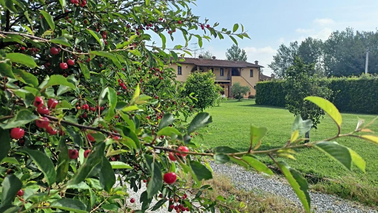 Il Chiassetto Agriturismo No Kids Cascina Dış mekan fotoğraf