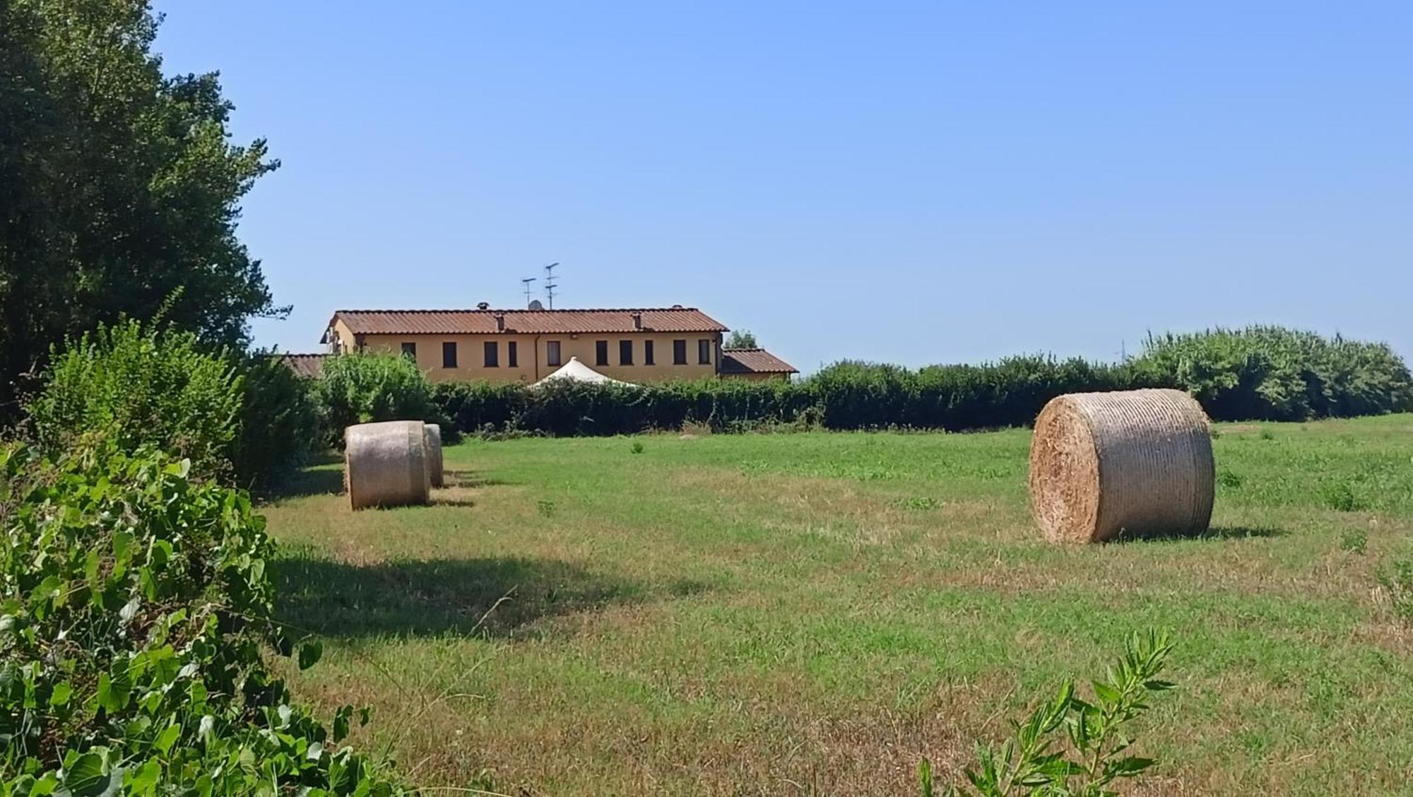 Il Chiassetto Agriturismo No Kids Cascina Dış mekan fotoğraf